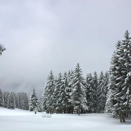 La Grange Mitaine * Meribel